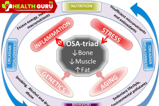 Factors Influencing Body Composition